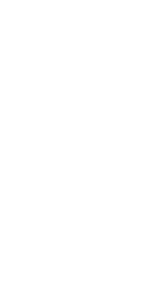 Nidal logo
